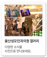 갤러리