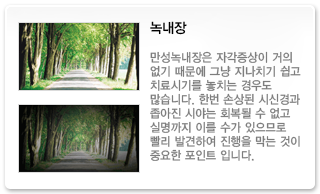 녹내장
